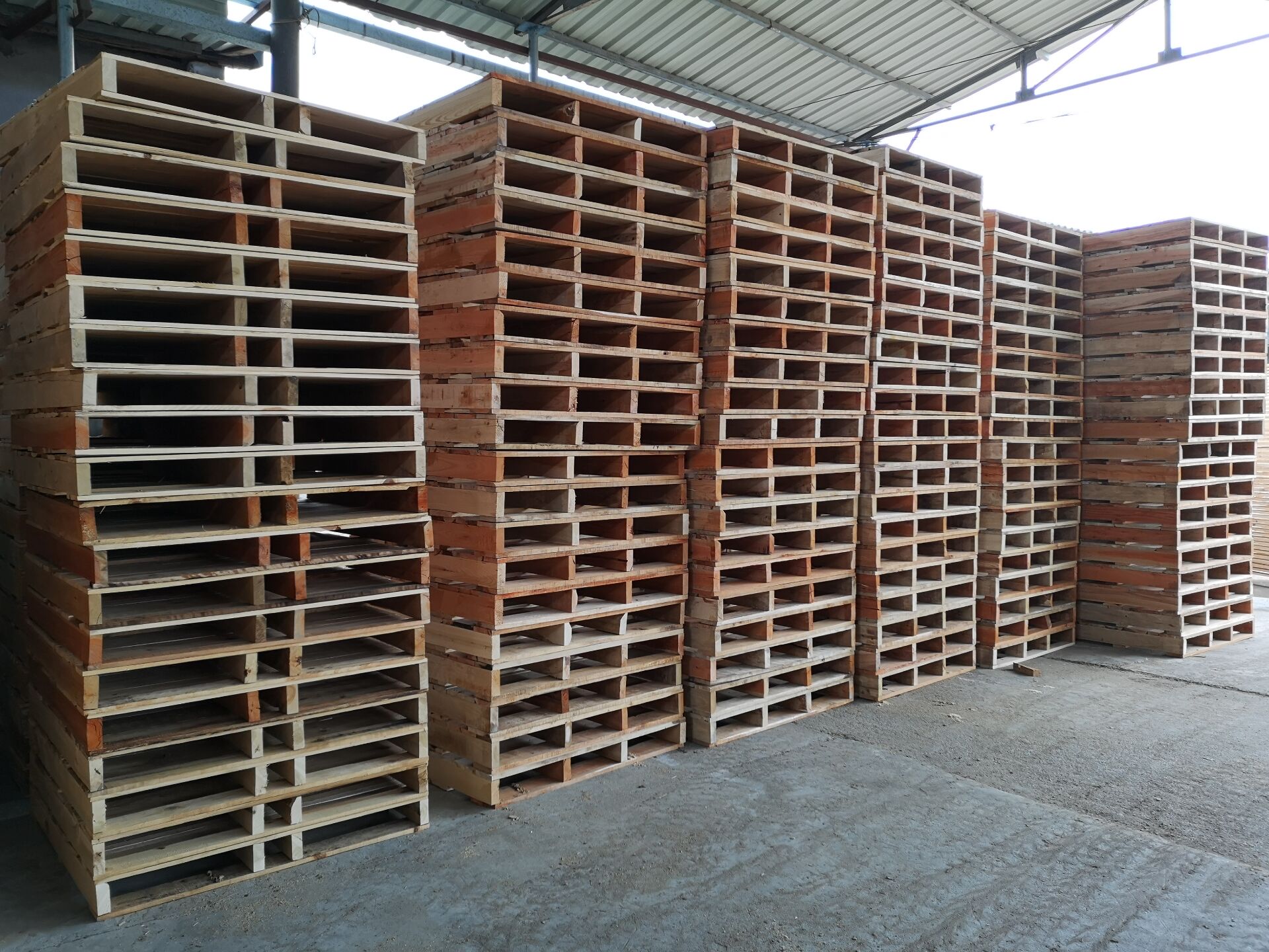 �p���M(j��n)��ľ�бP(p��n)002